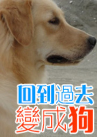 �ص���ȥ��ɹ�(�˹� H ��2in1)